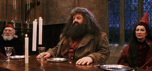 娱乐吃瓜酱霍格沃茨,娱乐吃瓜酱的魔法校园日常