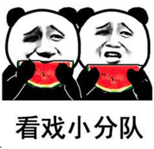 娱乐吃瓜表情图片大全,带你领略网络搞笑瞬间